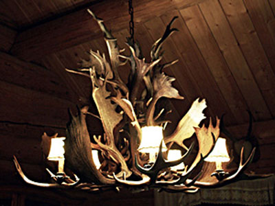 Antler Work And Gallery A Bull Elk Named Sue Custom Made Antler Chandeliers Mirrors With Frames Tables Lamps And Home Accessories Chandelier By Elk